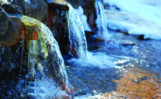 Lino verden+ _ [       ].jpg